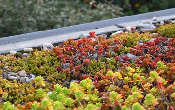 the cost of Fearnan green roof installation