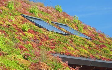 Fearnan living roof systems